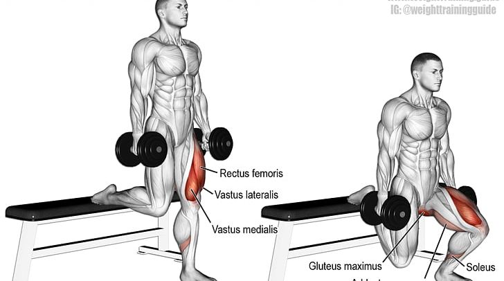 Squat Dumbbell Lunge Physical Exercise Deadlift PNG, Clipart, Abdomen, Arm, Back, Balance, Barbell Free PNG Download