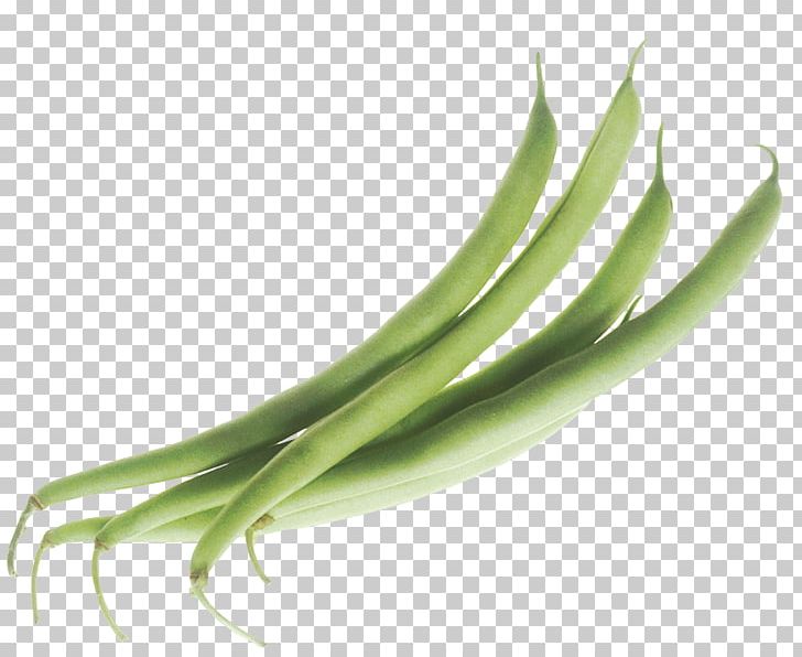 Green Beans PNG, Clipart, Beans, Food, Vegetables Free PNG Download