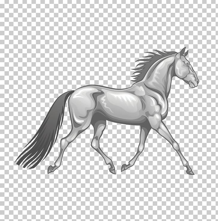 Horse Stallion Gallop Photography Illustration PNG, Clipart, Animals, Fictional Character, Furniture, Hand, Happy Birthday Vector Images Free PNG Download