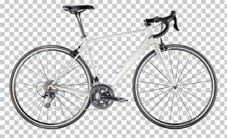 Specialized Bicycle Components Racing Bicycle Road Bicycle Bicycle Shop PNG, Clipart, Bicycle, Bicycle Accessory, Bicycle Frame, Bicycle Part, Cyclocross Free PNG Download