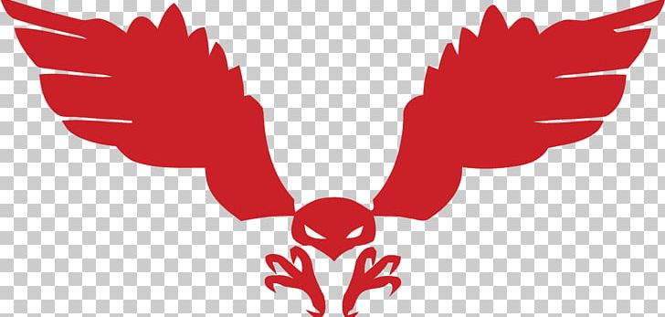 Symbol Logo PNG, Clipart, Animal, Atlanta Hawks, Beak, Brand, Chicken Free PNG Download