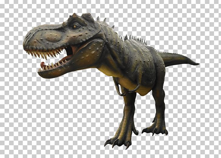 Tyrannosaurus Velociraptor Stegosaurus Dinosaur Cretaceous PNG, Clipart, Carnivore, Cretaceous, Depositphotos, Dinosaur, Fantasy Free PNG Download