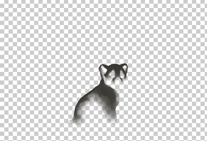 Whiskers Siberian Husky Puppy Dog Breed Cat PNG, Clipart, Animals, Black, Black And White, Breed, Carnivoran Free PNG Download