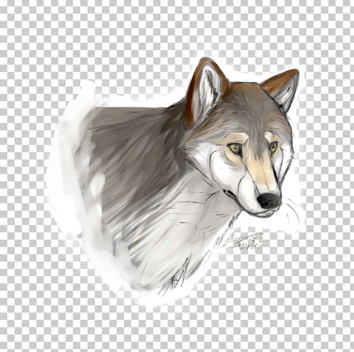 Gray Wolf Coyote Drawing Red Wolf Snout PNG, Clipart, Book, Carnivoran, Coyote, Deviantart, Dog Like Mammal Free PNG Download