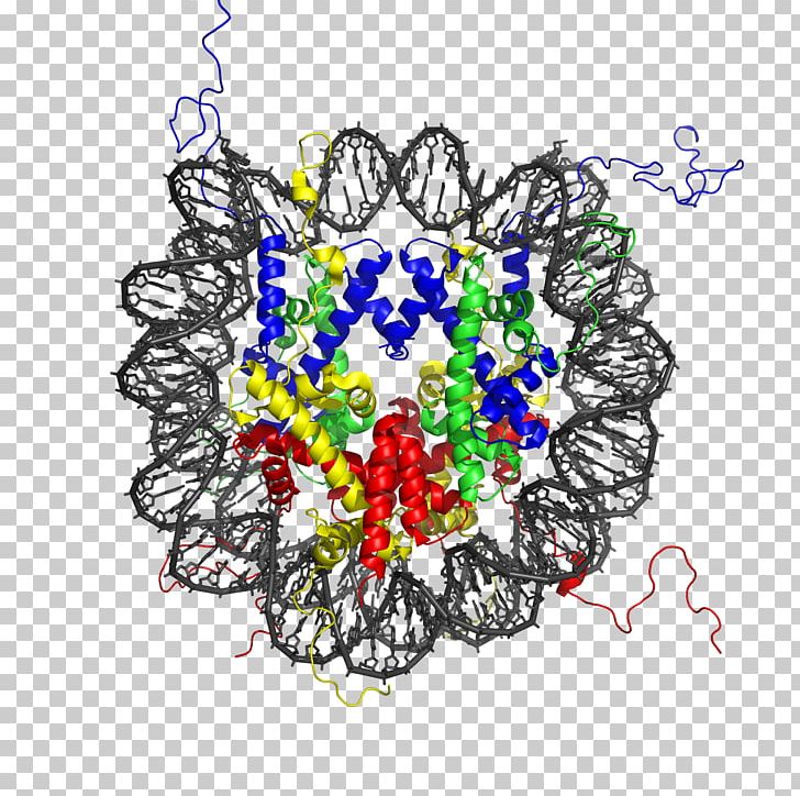 Nucleosome Histone Octamer Chromatin Structure PNG, Clipart, Acetylation, Art, Cell Nucleus, Circle, Dna Free PNG Download
