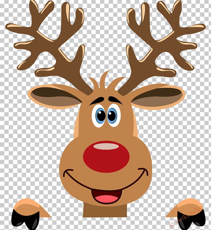 Reindeer Ded Moroz Rudolph PNG, Clipart,  Free PNG Download