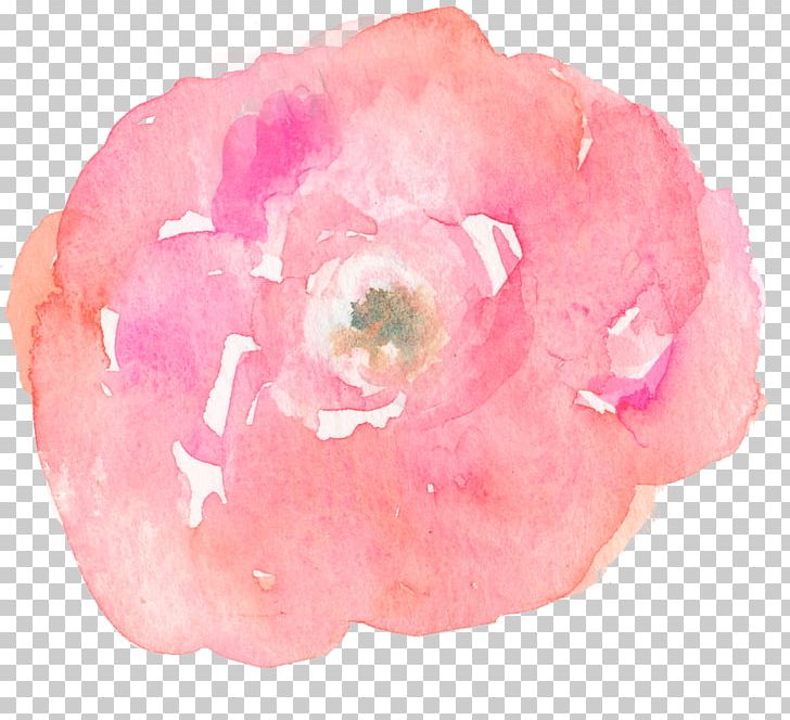 Watercolour Flowers Watercolor Painting Gift Do It Yourself PNG, Clipart, Art, Canvas, Color, Floral Pattern, Flower Free PNG Download
