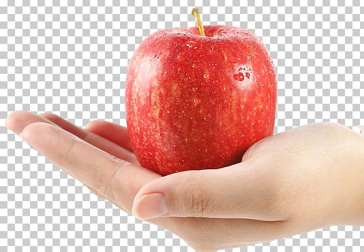 Apple Auglis PNG, Clipart, Apple Fruit, Apple Logo, Apple Tree, Auglis, Basket Of Apples Free PNG Download