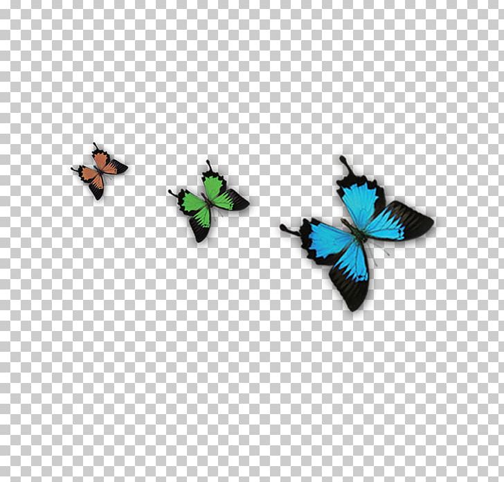 Butterfly Insect Euclidean PNG, Clipart, Blue, Blue Butterfly, Butterflies, Butterflies And Moths, Butterfly Free PNG Download