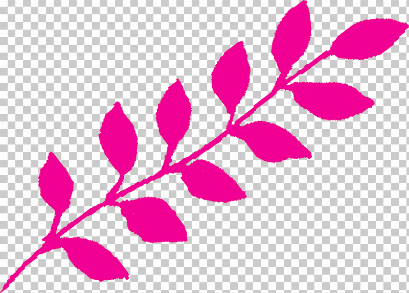 Leaf Pink Plant Pedicel Branch PNG, Clipart, Branch, Flower, Leaf, Line, Magenta Free PNG Download