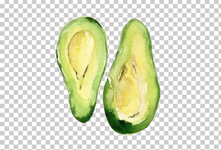 Avocado Watercolor Painting Drawing Food PNG, Clipart, Art, Avocado, Canvas, Canvas Print, Color Free PNG Download
