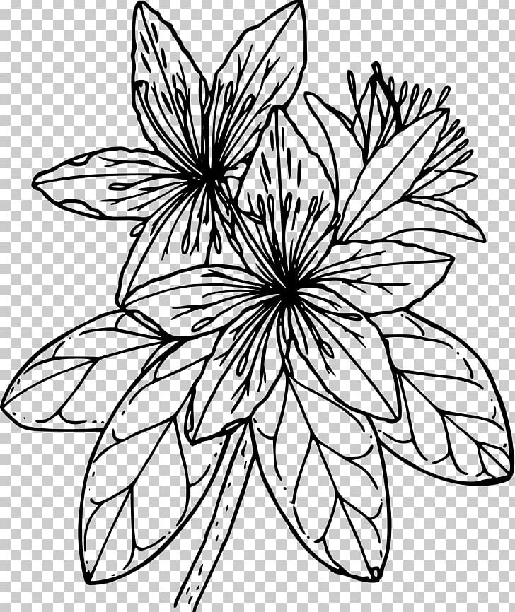 Azalea Drawing PNG, Clipart, Artwork, Azalea, Black And White, Branch, Color Free PNG Download