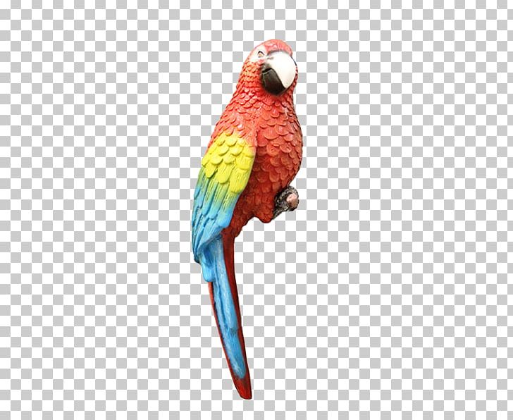 Bird Parrots Blue-and-yellow Macaw Parakeet Perroquet PNG, Clipart, Animals, Beak, Bird, Blueandyellow Macaw, Common Pet Parakeet Free PNG Download