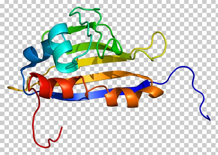 Heat Shock Protein Hsp90 Treacle Protein Cell PNG, Clipart, Alpha Hydroxy Acid, Animal Figure, Area, Art, Artwork Free PNG Download