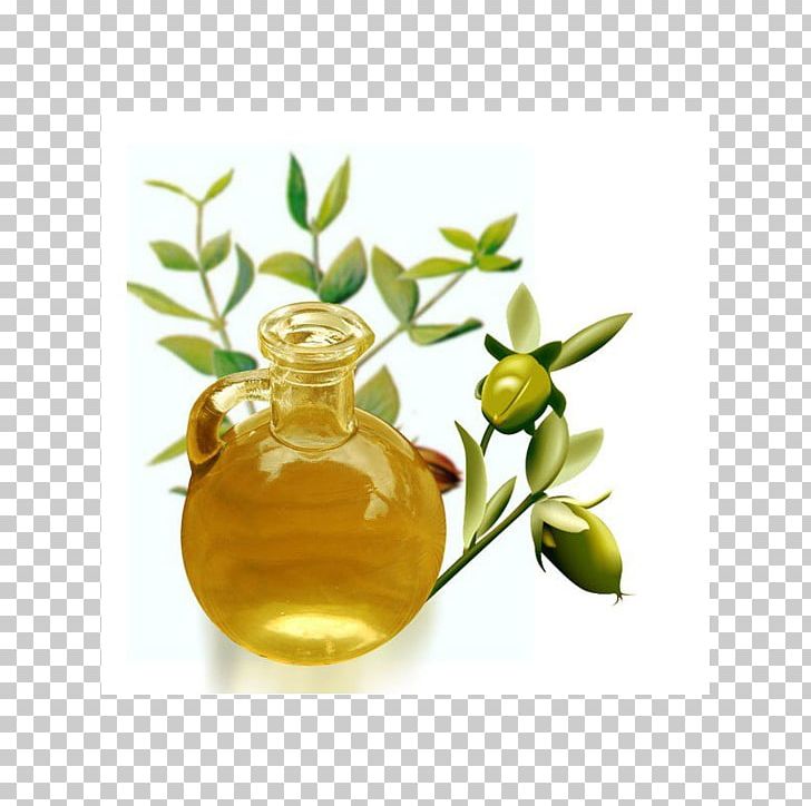 Jojoba Oil Essential Oil Cosmetology PNG, Clipart, Avocado Oil, Cooking Oil, Cosmetics, Cream, Eyelash Free PNG Download