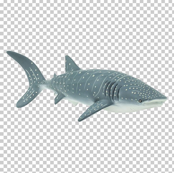 Tiger Shark Isurus Oxyrinchus Whale Shark Cetacea Great White Shark PNG, Clipart, Baby Shark, Batoidea, Cartilaginous Fish, Cetacea, Fauna Free PNG Download