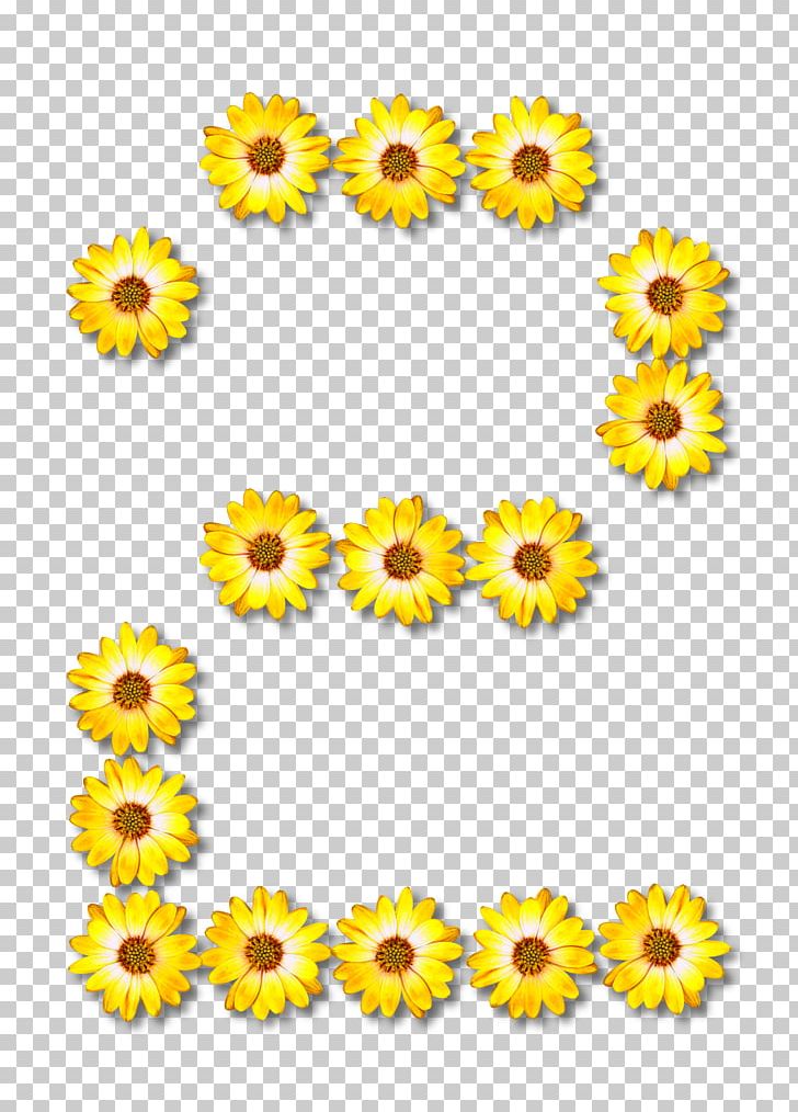Common Sunflower PNG, Clipart, Alphabet, Chrysanths, Clip Art, Common Sunflower, Cut Flowers Free PNG Download