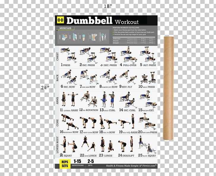 Dumbbell Weight Training Bodyweight Exercise Fitness Centre PNG, Clipart, Aerobic Exercise, Angle, Bodyweight Exercise, Circuit Training, Dumbbell Free PNG Download