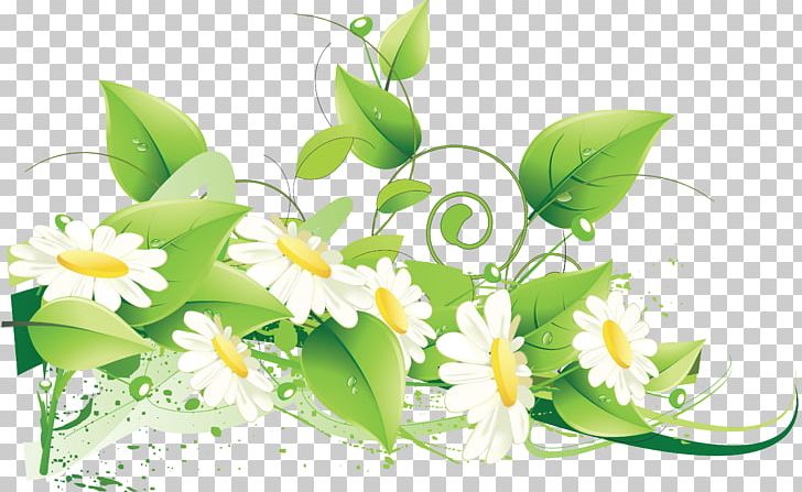 Flower Green PNG, Clipart, Alternative Medicine, Camomile, Cdr, Computer Wallpaper, Curve Free PNG Download