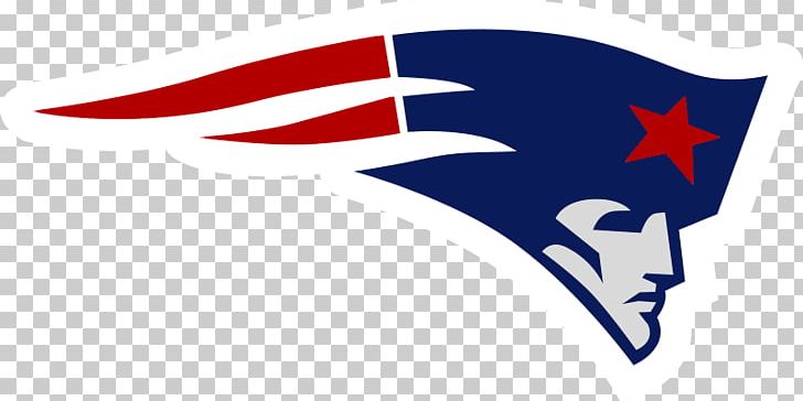 2017 New England Patriots Season NFL