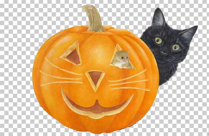 Black Cat Halloween Pumpkin Jack-o'-lantern PNG, Clipart, Carnivoran, Cartoon, Cat Like Mammal, Fitness Centre, Food Free PNG Download