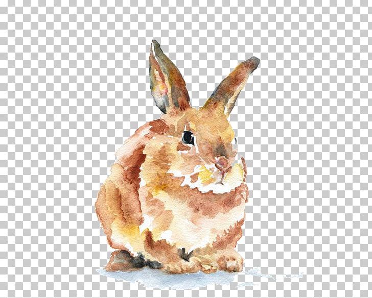 Domestic Rabbit Watercolor Painting Art Drawing PNG, Clipart, Art, Artist, Artist Trading Cards, Bunny, Bunny Rabbit Free PNG Download
