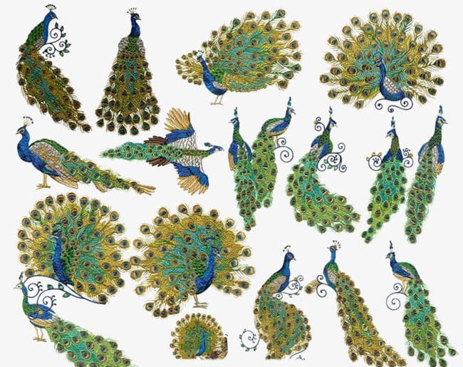 Peacock Design PNG, Clipart, Animal, Beautiful, Design Clipart, Flaunting, Green Free PNG Download