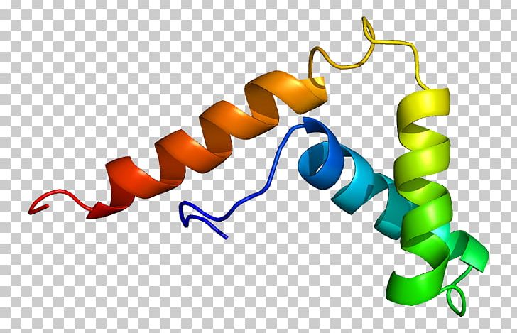 SOX5 SOX Gene Family Protein Testis-determining Factor Transcription Factor PNG, Clipart, 1 I, Deletion, Gene, Gene Expression, Gnu Free PNG Download