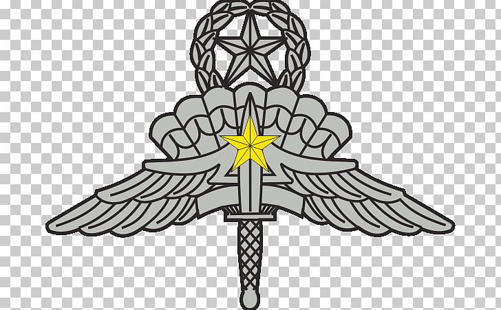 Military Freefall Parachutist Badge United States Army High-altitude Military Parachuting Combat Infantryman Badge PNG, Clipart, Army, Badge, Cross, Flower, Infantry Free PNG Download