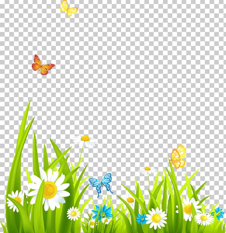 Computer Wallpaper Grass Summer PNG, Clipart, Computer Wallpaper, Daisy, Desktop Wallpaper, Drawing, Flora Free PNG Download