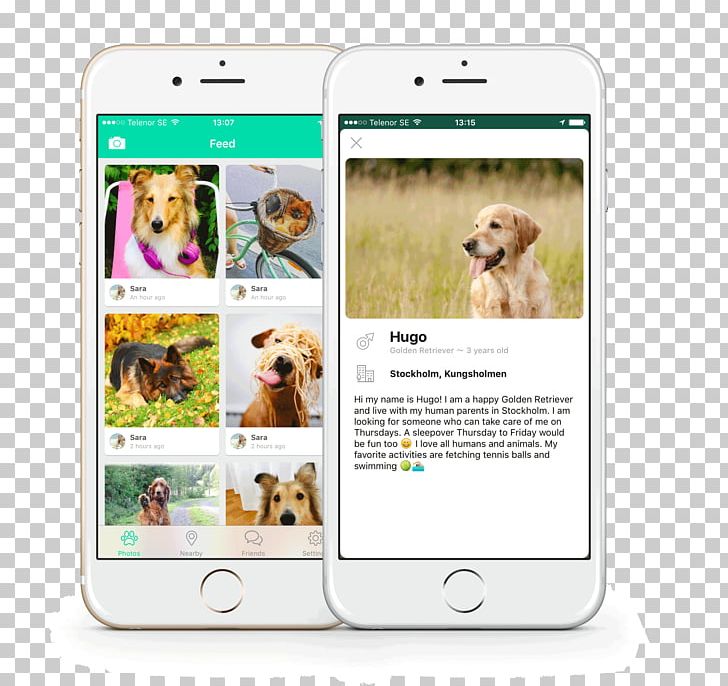 Smartphone Dog Breed Multimedia PNG, Clipart, Active, App, Breed, Communication Device, Dog Free PNG Download