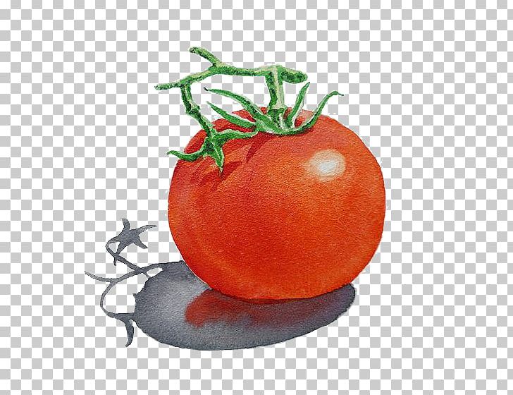 Art Watercolor Painting Illustration PNG, Clipart, Artist, Cartoon, Fine Art, Food, Fruit Free PNG Download