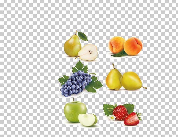Illustration PNG, Clipart, Apple, Apple Fruit, Apple Logo, Apple Tree, Apple Vector Free PNG Download