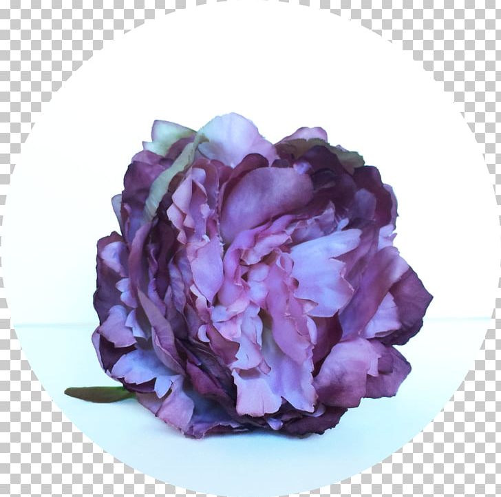 Peony Cut Flowers Petal PNG, Clipart, Cut Flowers, Flower, Flowering Plant, Nature, Peony Free PNG Download