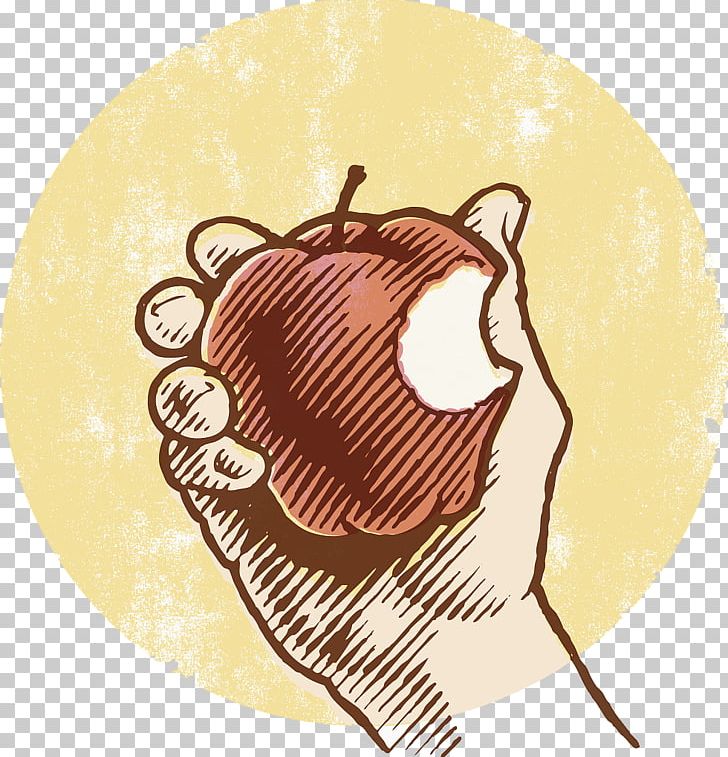 Apple Photography Stock Illustration Illustration PNG, Clipart, Animation, Apple Fruit, Apple Logo, Apples, Apple Tree Free PNG Download