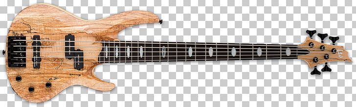 Bass Guitar Fender Precision Bass ESP LTD B205SM ESP Guitars PNG, Clipart, Acoustic Electric Guitar, Double Bass, Guitar Accessory, Ibanez, Music Free PNG Download