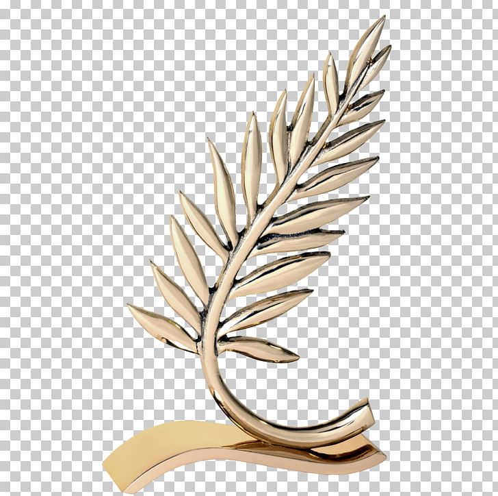 Bronze Palme D'Or Gold Glass PNG, Clipart, Bronze, Gold Glass, Others, Palme Free PNG Download