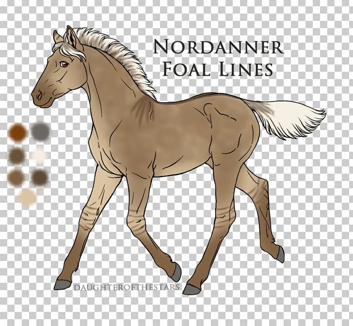 Foal Pony Stallion Mustang Mare PNG, Clipart, Animal Figure, Art, Bridle, Colt, Eye Free PNG Download
