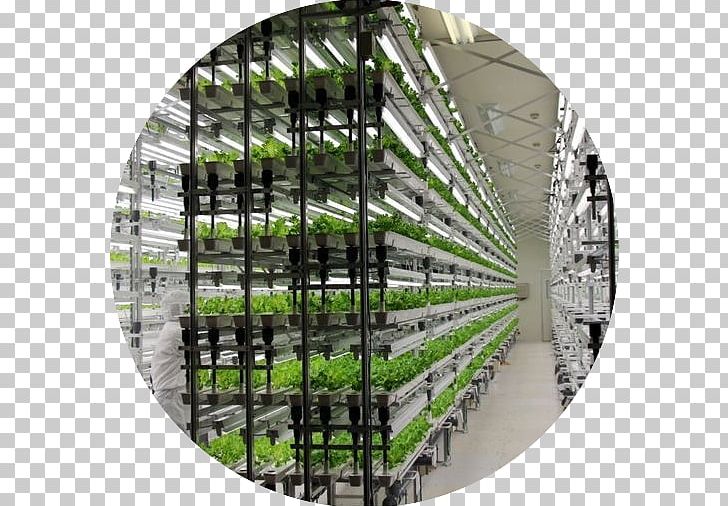 Hydroponics Grow Light Vertical Farming Greenhouse Agriculture PNG, Clipart, Agriculture, Farm, Fullspectrum Light, Garden, Gardening Free PNG Download