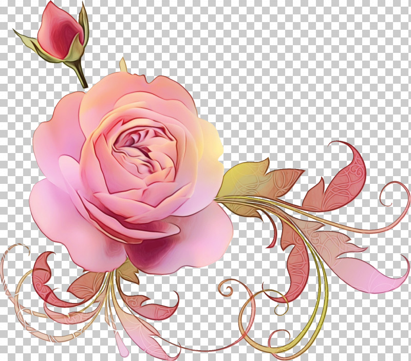 Garden Roses PNG, Clipart, Cut Flowers, Floral, Floral Design, Floristry, Flower Free PNG Download