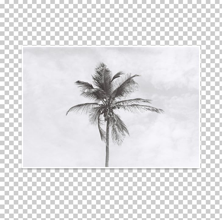 Drawing /m/02csf White PNG, Clipart, Black And White, Drawing, M02csf, Others, Tree Free PNG Download