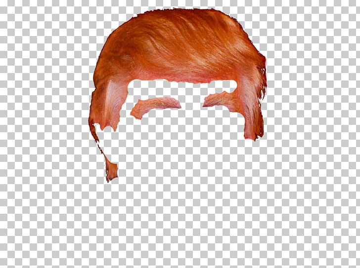 Hair Thepix Comb PNG, Clipart, Comb, Computer Icons, Donald Trump, Drawing, Efforts To Impeach Donald Trump Free PNG Download