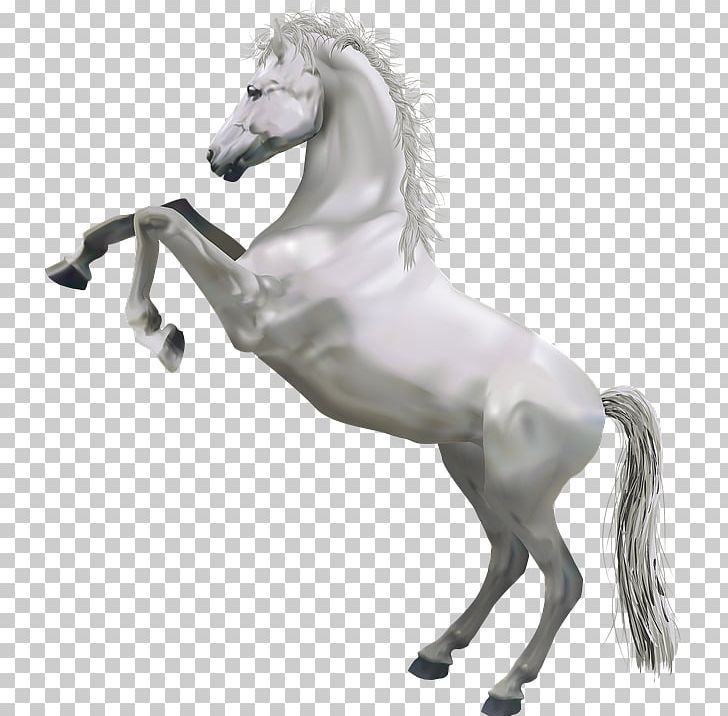 Horse PNG, Clipart, Animals, Black And White, Creative Background, Display Resolution, Download Free PNG Download
