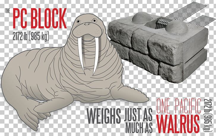 Mechanically Stabilized Earth Retaining Wall Concrete Masonry Unit PNG, Clipart, Brick, Building, Carnivoran, Concrete, Concrete Masonry Unit Free PNG Download