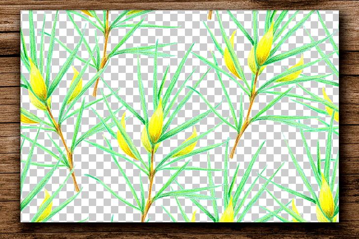 Plant Euclidean PNG, Clipart, Artwork, Border Frame, Branch, Designer, Download Free PNG Download