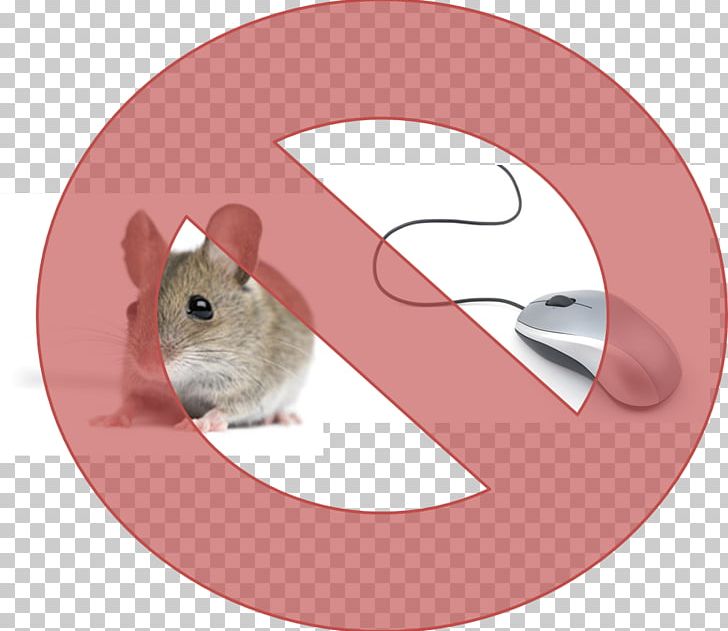 Rodent Rat Fancy Mouse Dormouse Gerbil PNG, Clipart, Animal, Animals, Dormouse, Exterminator, Fancy Mouse Free PNG Download