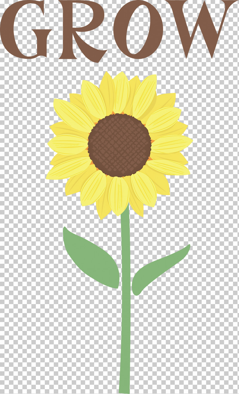 GROW Flower PNG, Clipart, Asterales, Cut Flowers, Daisy Family, Flower, Grow Free PNG Download