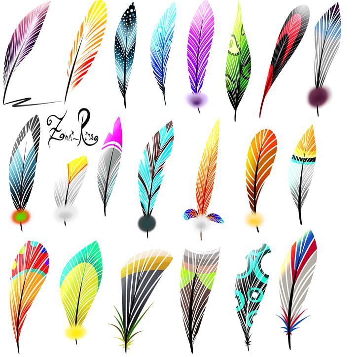 Feather Beak Font PNG, Clipart, Animals, Beak, Feather, Line, Material Free PNG Download
