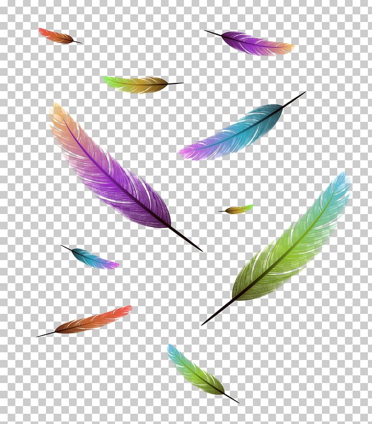 Bird Feather Drawing Stock Photography PNG, Clipart, Animals, Bird, Drawing, Feather, Fotosearch Free PNG Download