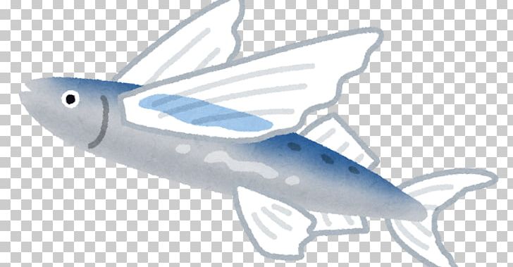 Flying Fish Dashi Yuzawa Choritsu Yuzawa Junior High School School Meal Hedgehog PNG, Clipart, Bony Fish, Bony Fishes, Child, Condiment, Dashi Free PNG Download